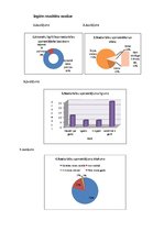 Referāts 'Interešu izglītības nodarbību nozīme radošuma attīstīšanai pamatskolā', 13.