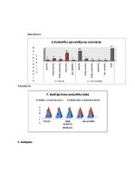 Referāts 'Interešu izglītības nodarbību nozīme radošuma attīstīšanai pamatskolā', 14.
