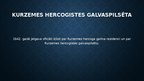 Prezentācija 'Kurzemes Hercogiste', 6.