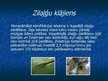 Prezentācija 'Baltijas jūras piesārņojums', 8.