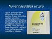 Prezentācija 'Baltijas jūras piesārņojums', 15.