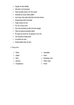 Konspekts 'Brāļu Kaudzīšu romāna "Mērnieku laiki" valoda', 2.