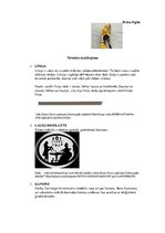 Prezentācija 'Termini', 1.