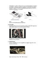 Prezentācija 'Termini', 8.