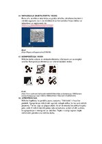 Prezentācija 'Termini', 19.