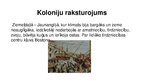 Prezentācija 'Pirmās kolonijas Ziemeļamerikā, Neatkarības karš 18.gadsimtā', 5.