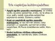 Prezentācija 'Cilvēks un kultūra', 7.