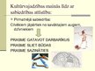 Prezentācija 'Cilvēks un kultūra', 9.