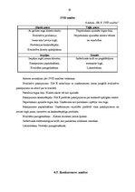 Referāts 'SIA X uzņēmuma tēla veidošanas stratēģija un darbības', 29.