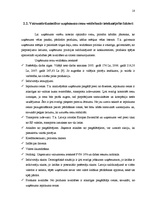 Referāts 'Cenu veidošanas politika vairumtirdzniecības uzņēmumā', 18.