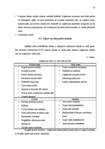 Referāts 'Cenu veidošanas politika vairumtirdzniecības uzņēmumā', 19.