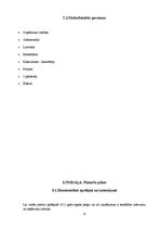 Biznesa plāns 'SIA "Flora"', 15.