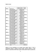 Biznesa plāns 'SIA "Flora"', 17.