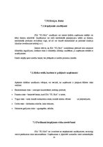 Biznesa plāns 'SIA "Flora"', 19.