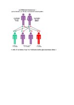 Konspekts 'Fon Villebranda slimība', 6.