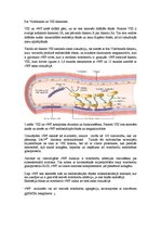 Konspekts 'Fon Villebranda slimība', 7.