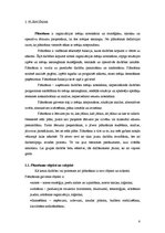 Referāts 'Vadīšanas funkcijas organizāciju sistēmā', 6.