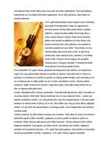 Konspekts 'Atklājumi un izgudrojumi 16.gadsimtā', 2.