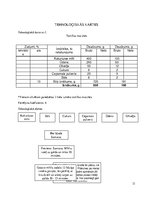 Konspekts 'Meksikas nacionālā virtuve', 13.