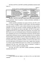 Diplomdarbs 'Sauszemes transportlīdzekļu brīvprātīgās apdrošināšanas piedāvājuma salīdzinājum', 41.