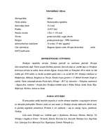 Referāts 'Grieķija', 2.