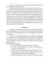 Referāts 'Grieķija', 3.