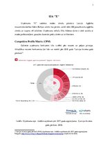 Konspekts 'SIA "X" uzņēmums', 3.