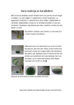 Paraugs 'Vara reakcija ar karaļūdeni', 1.