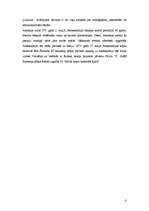 Referāts 'Sv. Atanasija teoloģiskais mantojums', 9.