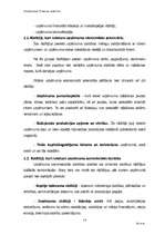 Biznesa plāns 'SIA "Slieka" finanšu analīze', 14.