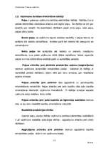 Biznesa plāns 'SIA "Slieka" finanšu analīze', 15.