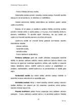 Biznesa plāns 'SIA "Slieka" finanšu analīze', 20.