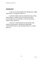 Biznesa plāns 'SIA "Slieka" finanšu analīze', 44.