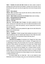 Referāts 'The Roman Republic', 7.