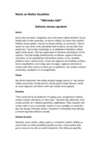 Konspekts 'Reinis un Matīss Kaudzītes "Mērnieku laiki". Galveno varoņu apraksts', 1.