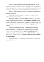 Referāts 'Pētīšanas metodes mārketingā un sabiedriskajās attiecībās', 3.