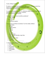 Referāts 'Pētīšanas metodes mārketingā un sabiedriskajās attiecībās', 13.