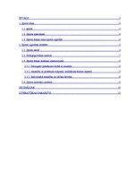 Referāts 'Sporta skolotāja ētika', 2.