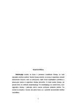 Referāts '"X” uzņēmuma finansiālā stāvokļa rādītāju aprēķins un analīze', 9.