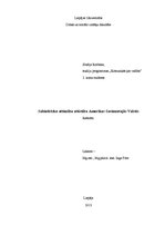 Referāts 'Sabiedrisko attiecību attīstība ASV', 1.