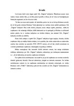 Referāts 'SIA "Šlāgeris" tirgus izpēte', 3.