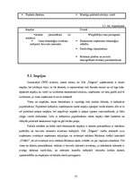 Referāts 'SIA "Šlāgeris" tirgus izpēte', 13.