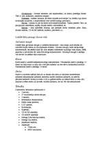 Konspekts 'Datoru tīkli, to iedalījums un lietošana', 2.