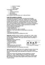 Konspekts 'Datoru tīkli, to iedalījums un lietošana', 3.