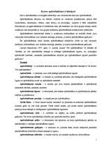 Konspekts 'Kravas apdrošināšana', 1.