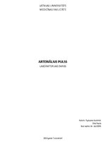 Paraugs 'Arteriālais pulss', 1.