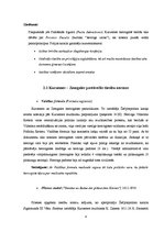 Referāts 'Livonijas sabrukums un tiesību normas Kurzemes - Zemgales hercogistē un Inflanti', 8.