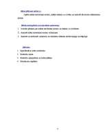 Referāts 'Krāsas simboliskā nozīme', 8.