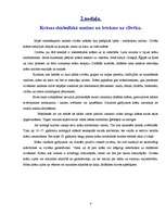 Referāts 'Krāsas simboliskā nozīme', 12.