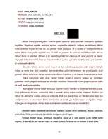 Referāts 'Krāsas simboliskā nozīme', 14.